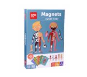 Apli Juego Magnetico del Cuerpo Humano - 1 Escenario Imantado 28 x 18 cm - 63 Fichas con Partes del Cupoer Humano