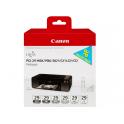 Canon PGI29 Pack de 6 Cartuchos de Tinta Originales - 4868B018