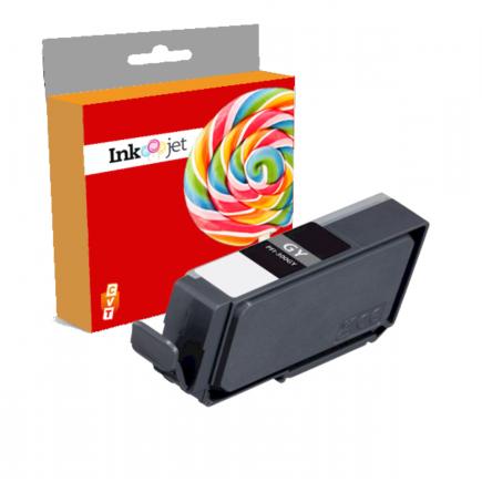 Compatible Canon PFI300 Negro Mate Cartucho de Tinta Pigmentada 4192C001 / PFI300MBK para ImagePrograf PRO 300