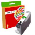 Compatible Canon PGI9 / 1041B001 Verde Cartucho de Tinta