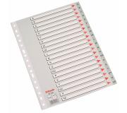 Esselte Abecedarios Plastico Caratula Indice Folio PP A-Z Cartulina Indice Carton Gris A-Z Material PP Tamaño Folio Multitaladro Presentacion Bolsa Individual
