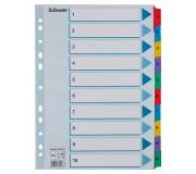 Esselte Indice de Carton con Pestañas Reforzadas - A4 - Numeradas 1-10 - Multicolor