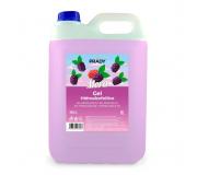 Prady Gel Hidroalcoholico Higienizante 5L - Aroma de Mora - Alcohol 70%